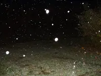 DSCF0001(1).webp