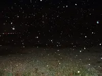DSCF0002(1).webp
