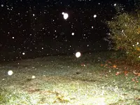 DSCF0001(1).webp
