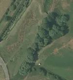 buried1.webp
