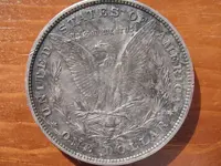 My Morgan back.webp