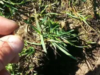 20140927_100041.webp