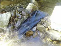 image-518130751.webp