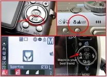 macro.webp