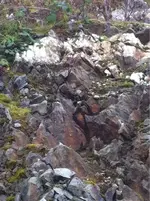 image-3905752051.webp