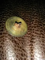 IMG_20141109_174720.webp