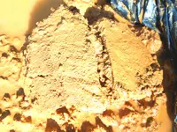 crysmuck2.webp