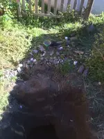 image-611920101.webp