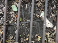 K1600_005.webp