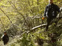 foto ricerca.webp