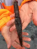 Denmark-knife-handle.webp