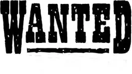 wanted2.webp