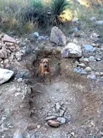 goldhole2.webp