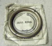 nose ring.webp