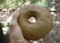 donut artifact.jpg
