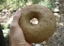 donut artifact.webp
