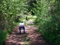 100_0286.webp