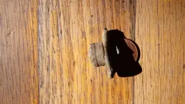 20141005_134051.webp 20141005_134051.webp