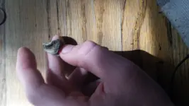20141005_134148.webp 20141005_134148.webp