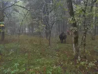 DSCN0310.webp