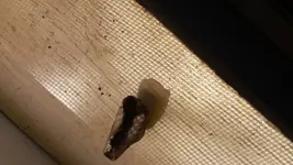 20141005_134932.webp 20141005_134932.webp