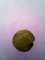 image2 (1).webp