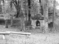 rozne zdjecia 115.webp
