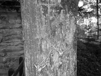 rozne zdjecia 120.webp