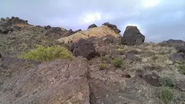 IMAG0706.webp