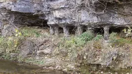 125_3392.webp