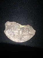 unknown 1.webp