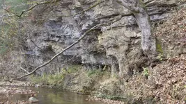 125_3403.webp