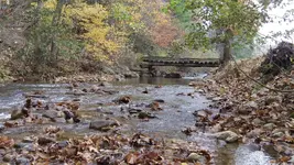 125_3406.webp