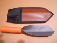 DSCN0157.webp
