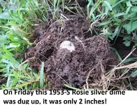 Three Days Worth of Finds 007.webp