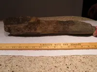 DSCN3429.webp