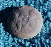 DSCN1379.webp