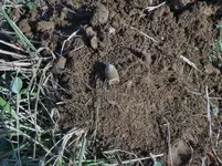 DSCN1383.webp
