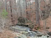 turtle head further out.webp