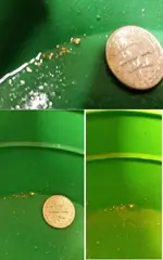 gold11614.webp