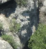 face.webp