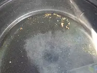 DSCF0754.webp