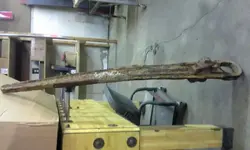 20141112_194406[1].webp