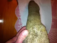 DSCN3429c.webp