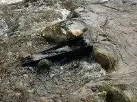 image-1958423710.webp