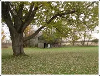 SDC10257.webp