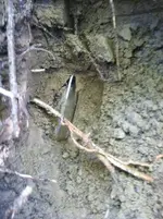 image-2332470824.webp