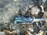 image-4116429668.webp