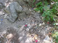 DSCN0936.webp