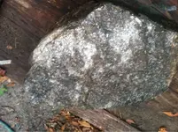 image-2446251598.webp